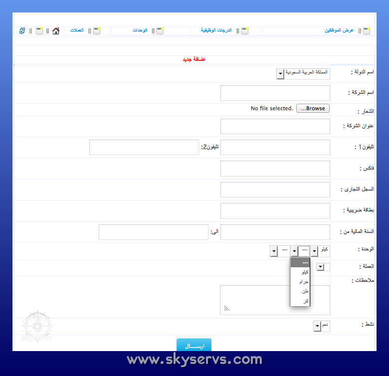 نظام محاسبه شركات