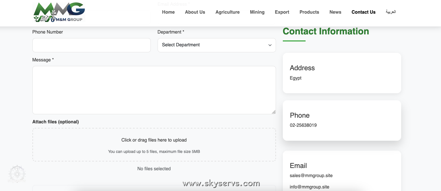 M&M جروب للتصدير - صورة 4