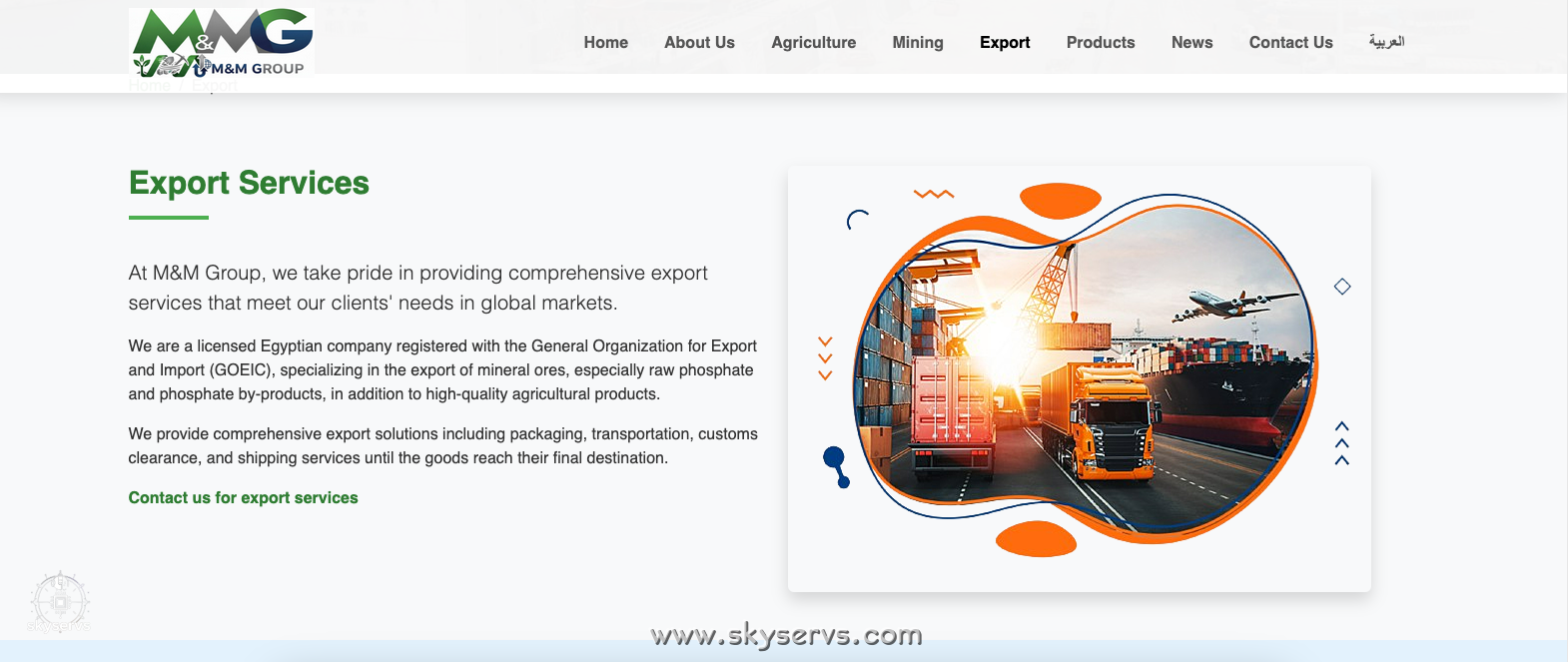 M&M جروب للتصدير - صورة 7