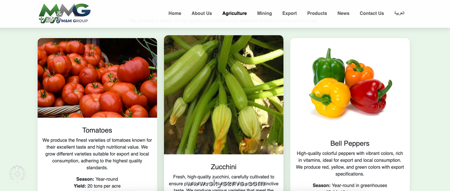 M&M جروب للتصدير - صورة 9