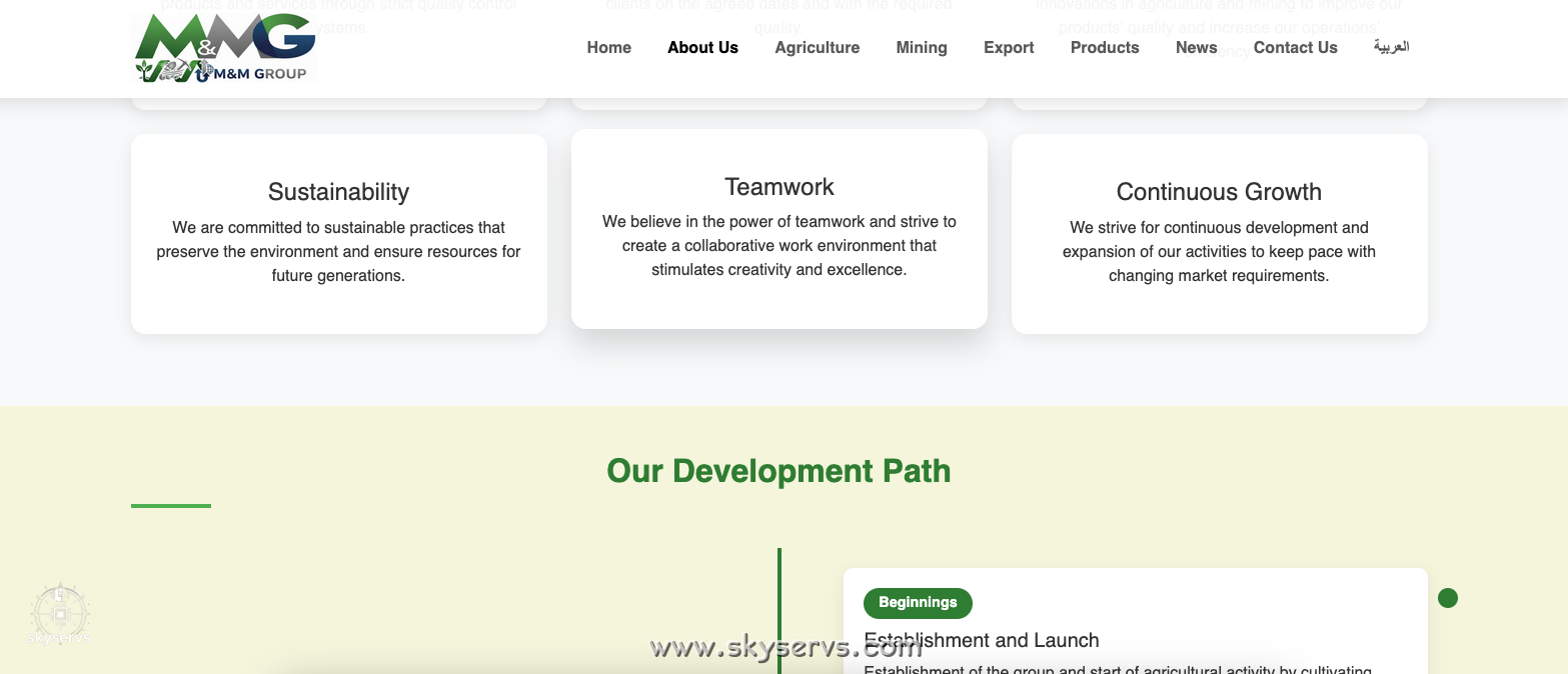 M&M جروب للتصدير - صورة 10