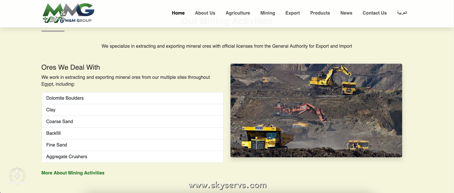 M&M جروب للتصدير - صورة 11