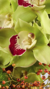 استقبلوا الخريف معThe Flower Society